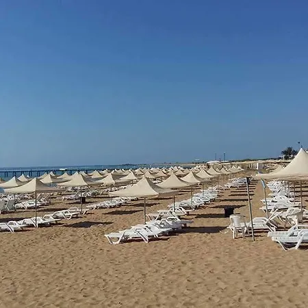 Asut Maison d'hôtes Komi Kebir