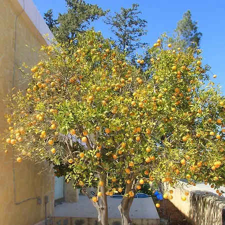 Asut Maison d'hôtes
