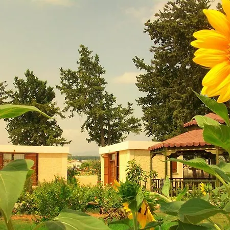 Maison d'hôtes Asut Komi Kebir